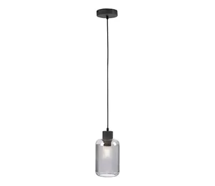 Paul Neuhaus 2006-25 - Żyrandol na lince BOLETUS 1xE27/10W/230V śr. 14 cm szary - Lampy sufitowe - miniaturka - grafika 1