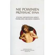 Nie powinien przysyłać syna - Książki o kulturze i sztuce - miniaturka - grafika 1