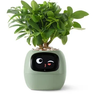 Doniczka inteligentna PLANTSIO IVY Wi-fi Zielony - Donice - miniaturka - grafika 1