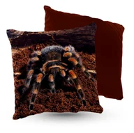 Poduszki dekoracyjne - Poduszka welur pająk brachypelma - miniaturka - grafika 1