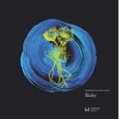 Dramaty - Śluby Stanisław Przybyszewski - miniaturka - grafika 1