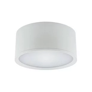 Ideus Plafon 15W LED 4000K 03110 - Lampy sufitowe - miniaturka - grafika 1