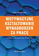 Biznes - Motywacyjne kształtowanie wynagrodzeń za pracę Nowa - miniaturka - grafika 1