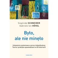 Psychologia - Było, ale nie minęło. Ustawienia systemowe w pracy indywidualnej. Teoria i praktyka opowiedziane w 60 historiach - miniaturka - grafika 1