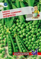 Nasiona i cebule - Groch siewny cukrowy Iłówiecki 40g / O / - miniaturka - grafika 1