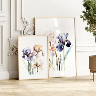 Irysy - Zestaw dwóch grafik botanicznych - Obrazy i zdjęcia Irysy - Zestaw dwóch grafik botanicznych - Obrazy i zdjęcia - miniaturka - grafika 1