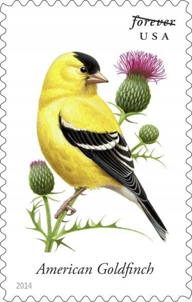 Naklejki na ścianę Ptak Ptaki 91,5x61 #2