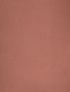 Canson Karton Kolorowy Iris Orzechowy - Scrapbooking - miniaturka - grafika 1