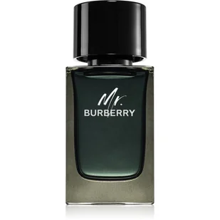 Burberry Mr for Men woda perfumowana 100ml - Wody i perfumy męskie - miniaturka - grafika 1