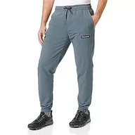 Koszulki męskie - Timberland Ripstop Jogger Spodnie męskie, Turbulencja, XS - miniaturka - grafika 1