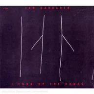 Inna muzyka - I Took Up the Runes (CD / Album) - miniaturka - grafika 1