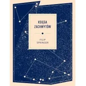 Felietony i reportaże - Agora Księga zachwytów - Filip Springer - miniaturka - grafika 1