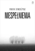 Felietony i reportaże - Niespełnienia - miniaturka - grafika 1