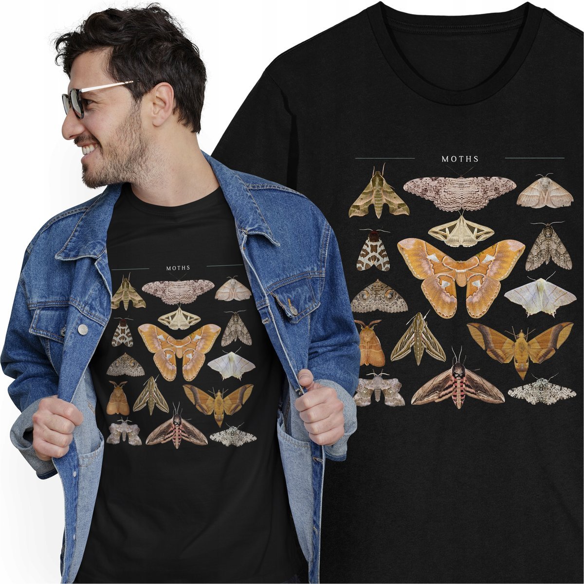 Koszulka Owady Kolekcja Entomologiczna Zbiór Owadów Zwierzęta Zoologia