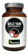 Witaminy i minerały - Hanoju Wild Yam Dziki Pochrzyn) 500mg 90 kapsułek - miniaturka - grafika 1