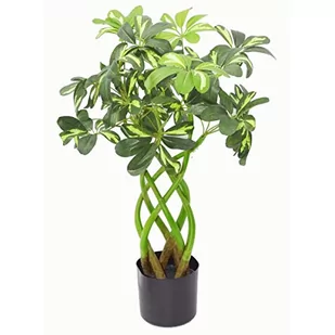 Leaf 70 cm łodyga nowoczesny sztuczny krzew do roślin Arboricola w czarnym doniczce, bonsai Twist - Sztuczne drzewka - miniaturka - grafika 1