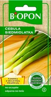 Nasiona i cebule - BIOPON CEBULA SIEDMIOLATKA 0,5G - miniaturka - grafika 1