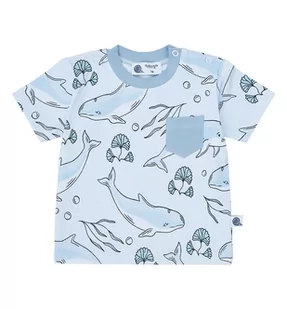 T-Shirt Niemowlęcy Błękitny Morświny - 86 - Body dla niemowląt - miniaturka - grafika 1