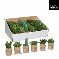 Sztuczne kwiaty - Zestaw 24 sukulentów mix 6 wzorów 12 x 5 cm - miniaturka - grafika 1