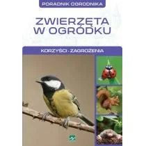 Dragon Zwierzęta w ogródku  korzyści, zagrożenia - Dragon - Rośliny i zwierzęta - miniaturka - grafika 1
