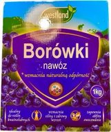 Nawozy ogrodnicze - Nawóz do borówek 1 kg Westland - miniaturka - grafika 1