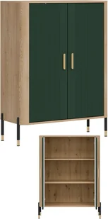 Szafka dwudrzwiowa Komoda Regał zamykany Dąb Zielony Złoty DANTE DT11 - Komody - miniaturka - grafika 1