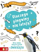 Baśnie, bajki, legendy - Mam pytanie. Dlaczego pingwiny nie latają? - Michał Brodacki - miniaturka - grafika 1