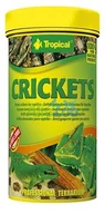 Pokarm dla ryb - Tropical Cricket suszone świerszcze dla gadów i dużych ryb akwariowych 250ml/25g - miniaturka - grafika 1
