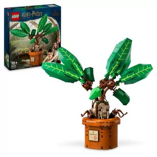 LEGO 76433 Harry Potter Mandragora - Klocki - miniaturka - grafika 1