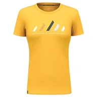 Koszulki i topy damskie - Salewa Damska koszulka Pure Stripes Dry W - miniaturka - grafika 1