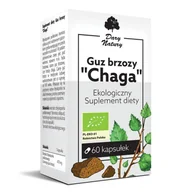 Suplementy naturalne - DARY NATURY Guz Brzozy "Chaga" 60kaps. Ekologiczny Suplement diety DARY NATURY 21DARGUZBR - miniaturka - grafika 1