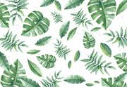 Fototapety - Zielone tropikalne liście - fototapeta 366x254 cm - miniaturka - grafika 1