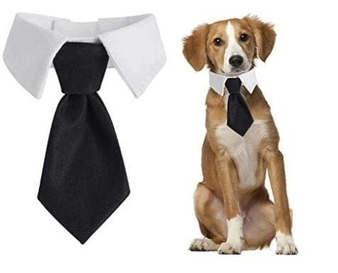 KRAWAT DLA PSA KOTA Uniwersalny na rzep ELEGANCKI STRÓJ IMPREZOWY rozmiar L