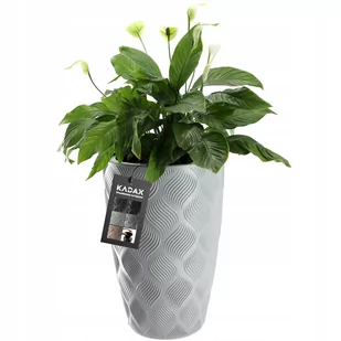 Donica na kwiaty z wkładem wysoka Jesi 30 cm, platyna - Donice Donica na kwiaty z wkładem wysoka Jesi 30 cm, platyna - Donice - miniaturka - grafika 1