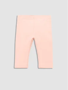 Legginsy Coccodrillo - Legginsy - miniaturka - grafika 1