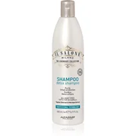 Szampony do włosów - Alfaparf Milano Il Salone Milano Detox szampon oczyszczająco-detoksykujący do włosów narażonych na zanieczyszczenie powietrza 500 ml - miniaturka - grafika 1
