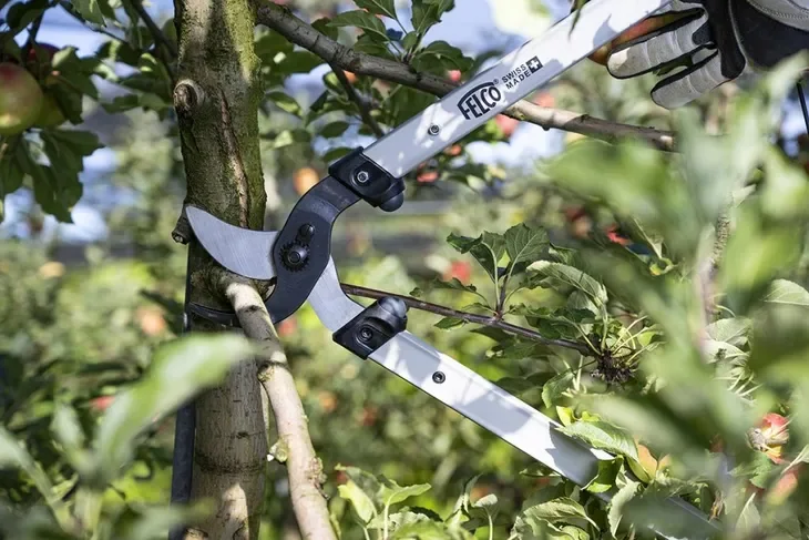sekatory dwuręczne Felco 221 - nowa seria