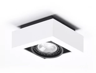Azzardo NIKEA AZ4436 downlight natynkowy 1x16W/ES111 IP20 AZ4436 - Lampy sufitowe - miniaturka - grafika 1