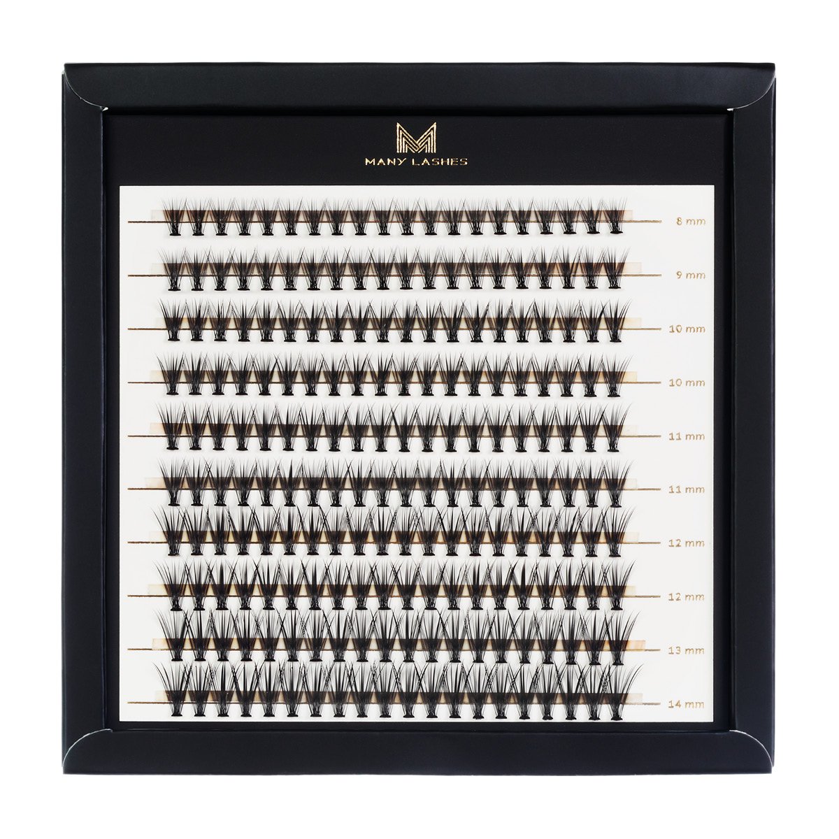 Many Lashes Superblack 20D Master Box Zestaw kępek rzęs do makijażu 8-14 mm Skręt CC - bardziej podkręcone rzęsy