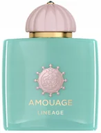 Wody i perfumy męskie - Amouage Odyssey Lineage woda perfumowana 100 ml - miniaturka - grafika 1