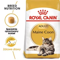 Mokra karma dla kotów - Royal Canin bytówka ROYAL CANIN Maine Coon Adult 31 4kg + Pojemnik na karmę Curver 10l 4kg 234820 - miniaturka - grafika 1