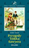 E-booki dla dzieci i młodzieży - Przygody Tomka Sawyera - miniaturka - grafika 1
