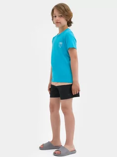 Spodnie i spodenki dla chłopców - Spodenki plażowe boardshorty chłopięce - 4F - grafika 1