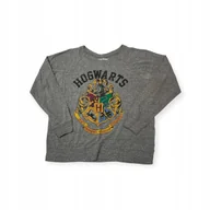 Bluzki damskie - Bluzka damska na długi rękaw szara Harry Potter L - miniaturka - grafika 1