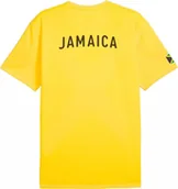 Koszulki męskie - Koszulka Puma Flag Tee M Po Jamaica 606300 02 R-L - miniaturka - grafika 1
