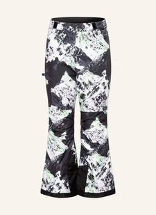 The North Face Spodnie Narciarskie Freedom violett - Spodnie narciarskie - miniaturka - grafika 1
