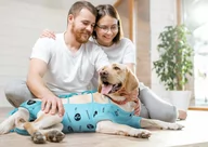 Ubranka dla psów - RecoWear Ubranko ochronne z jonami srebra rozm 8 - 52 cm - miniaturka - grafika 1