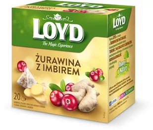 Loyd MOKATE Herbata owocowa żurawina z imbirem A'20x2 g - Herbata - miniaturka - grafika 1