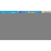 Figurki dla dzieci - Pani cieśla w pracy - miniaturka - grafika 1