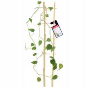 Pozostałe akcesoria do uprawy roślin - Drabinka bambusowa do kwiatów 38 x 6,5 cm - miniaturka - grafika 1
